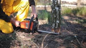 Best Lawn Grading and Leveling  in Fanwood, NJ