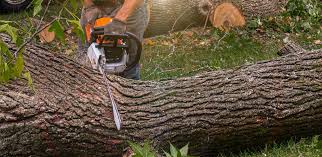 Best Landscape Design and Installation  in Fanwood, NJ
