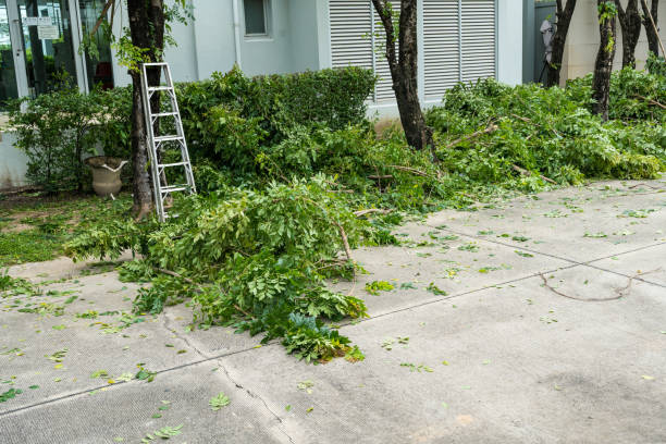 Best Weed Control  in Fanwood, NJ