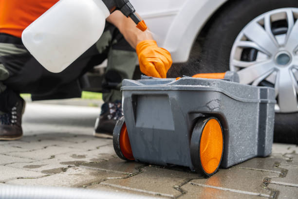 Best Tree Maintenance Programs  in Fanwood, NJ